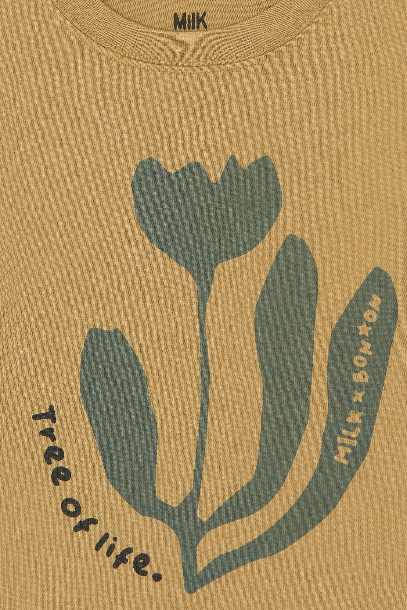 T -shirt - Capucine Chataigner Bonton X Milk