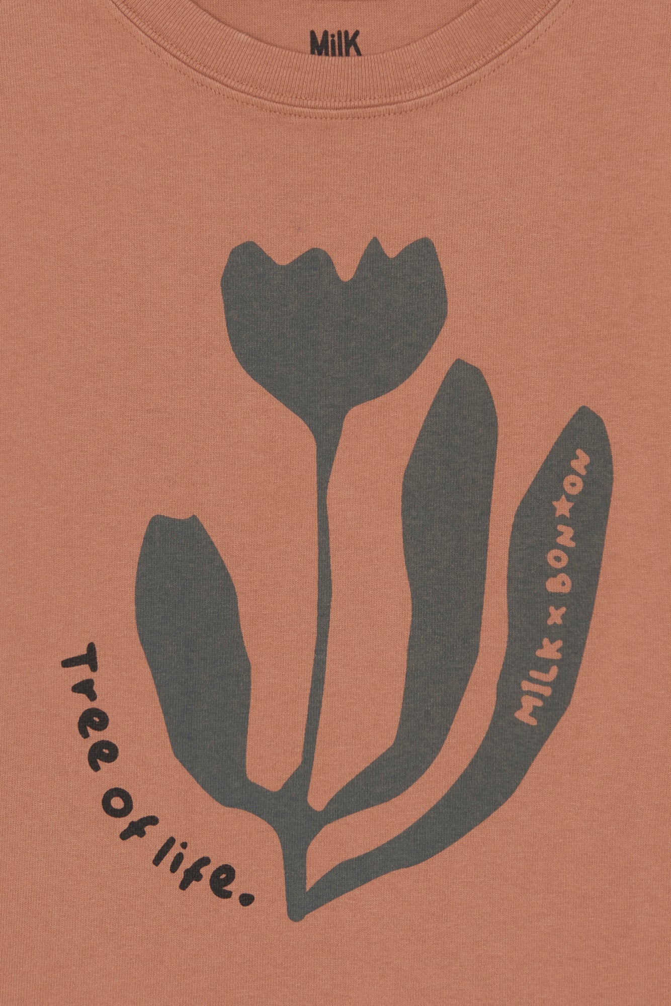 T -shirt - Capucine Cachou Bonton X Milk