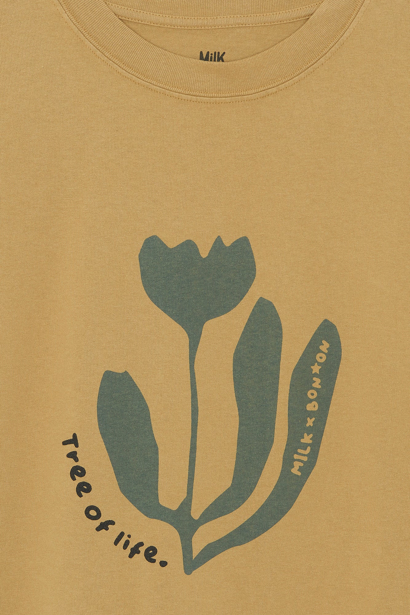 T -shirt - Capucine Woman Chataigner Bonton X Milk