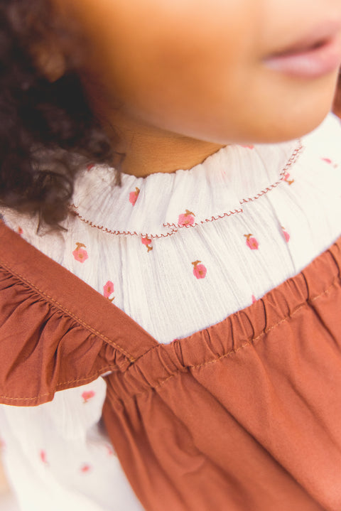 Robe - Lucette nocciolata - Image principale