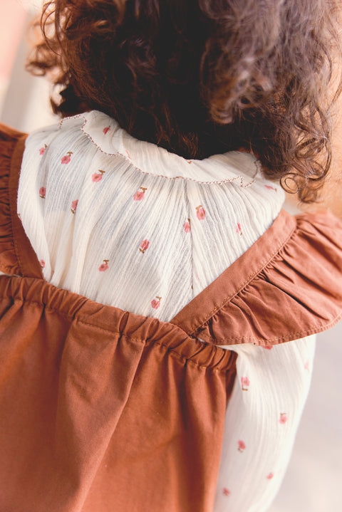 Robe - Lucette nocciolata - Image principale