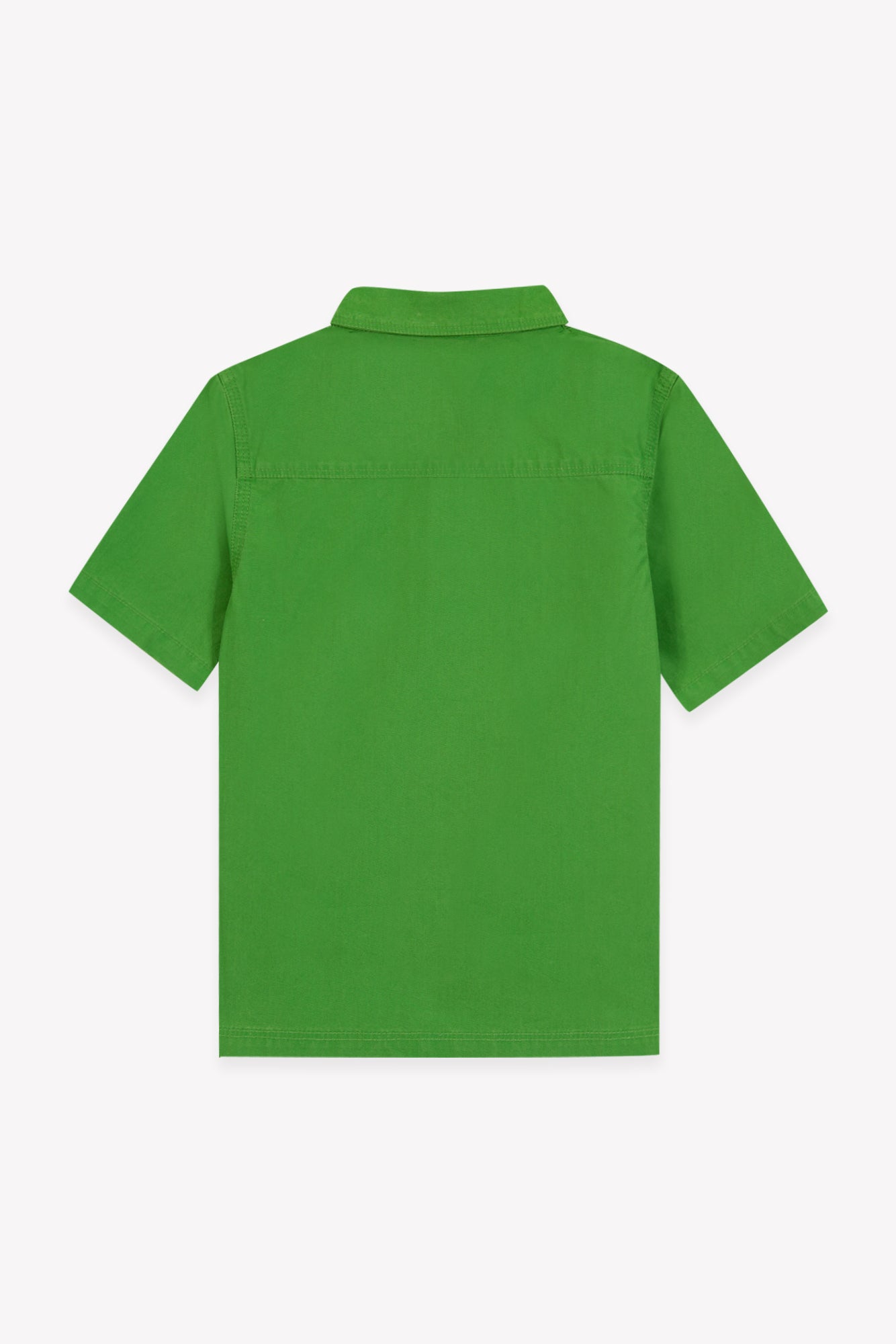 Chemise - Lice vert smith