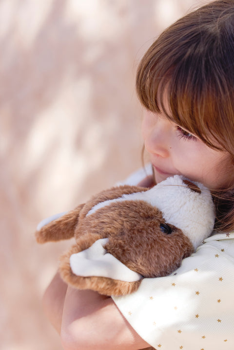 Soft Toy - Corgi Bernie - Image principale