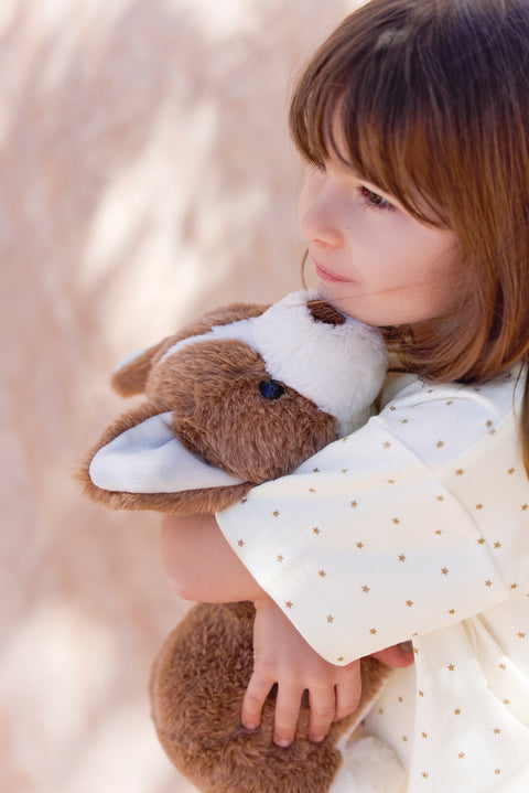 Soft Toy - Corgi Bernie - Image principale