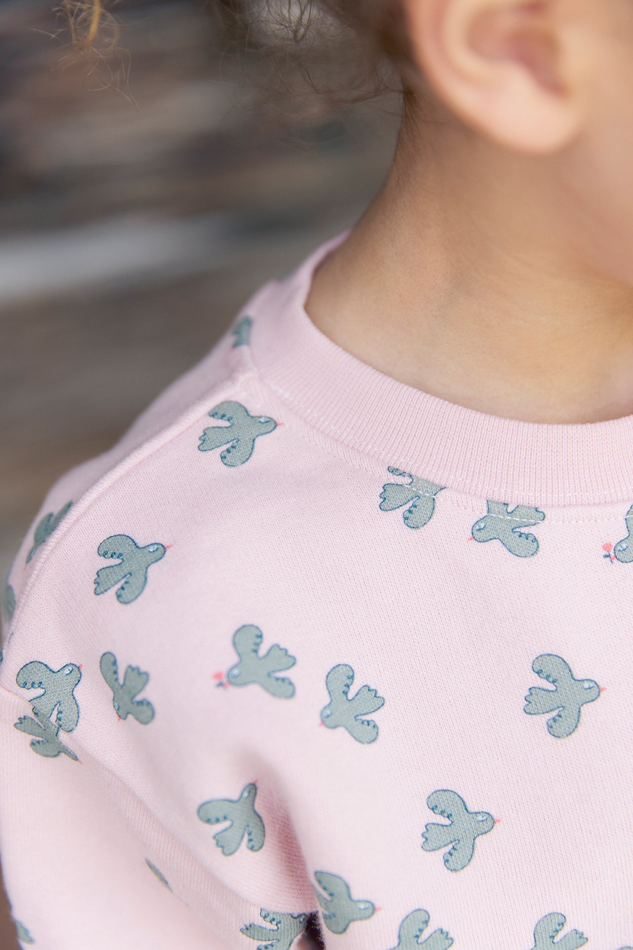 Sweatshirt - Smile Birdy Little Birdy