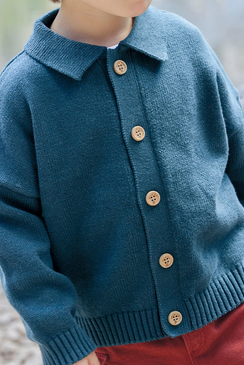 Cardigan - Lucien Blue Lake - Image principale