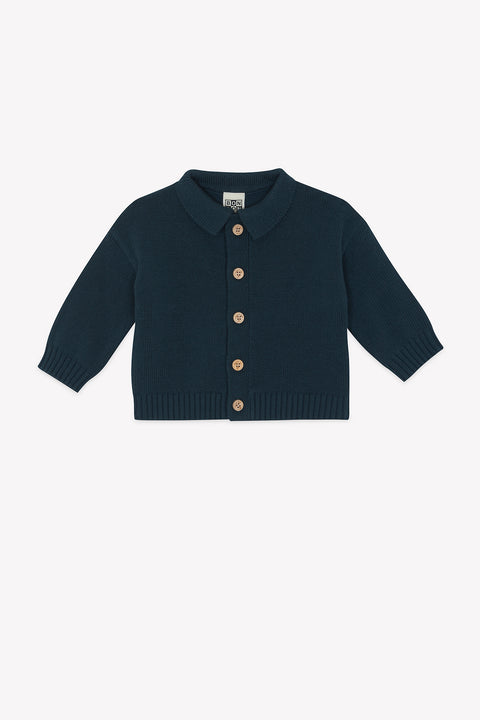 Cardigan - Lucien Blue Lake - Image principale