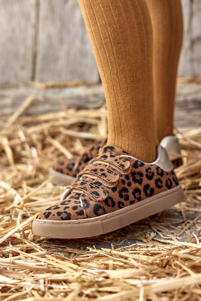 Sneakers - Basil Scratch Leopard - Image principale