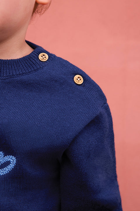 Pull - Missouri Indigo - Image principale