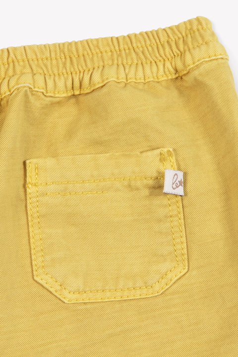 Short - Lyon Jaune Pampa - Image principale