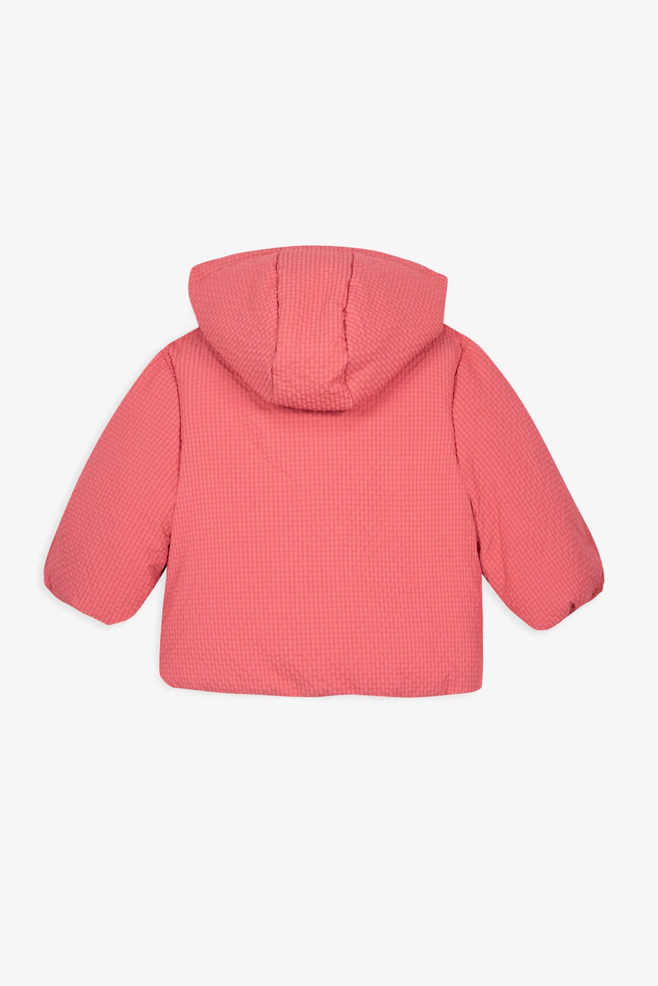 Blouson - Paola Rose Elizabeth