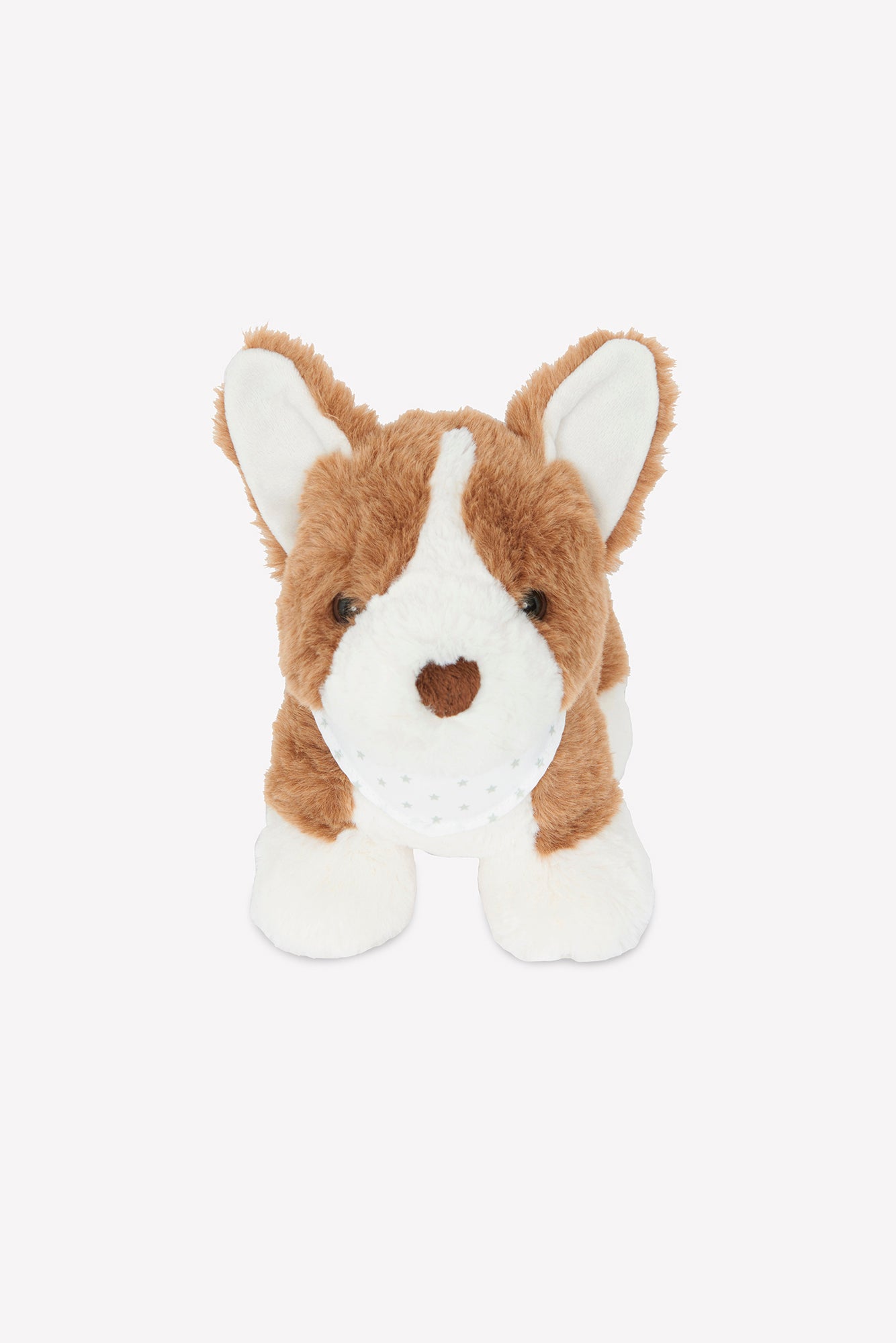 Peluche - Corgi Bernie