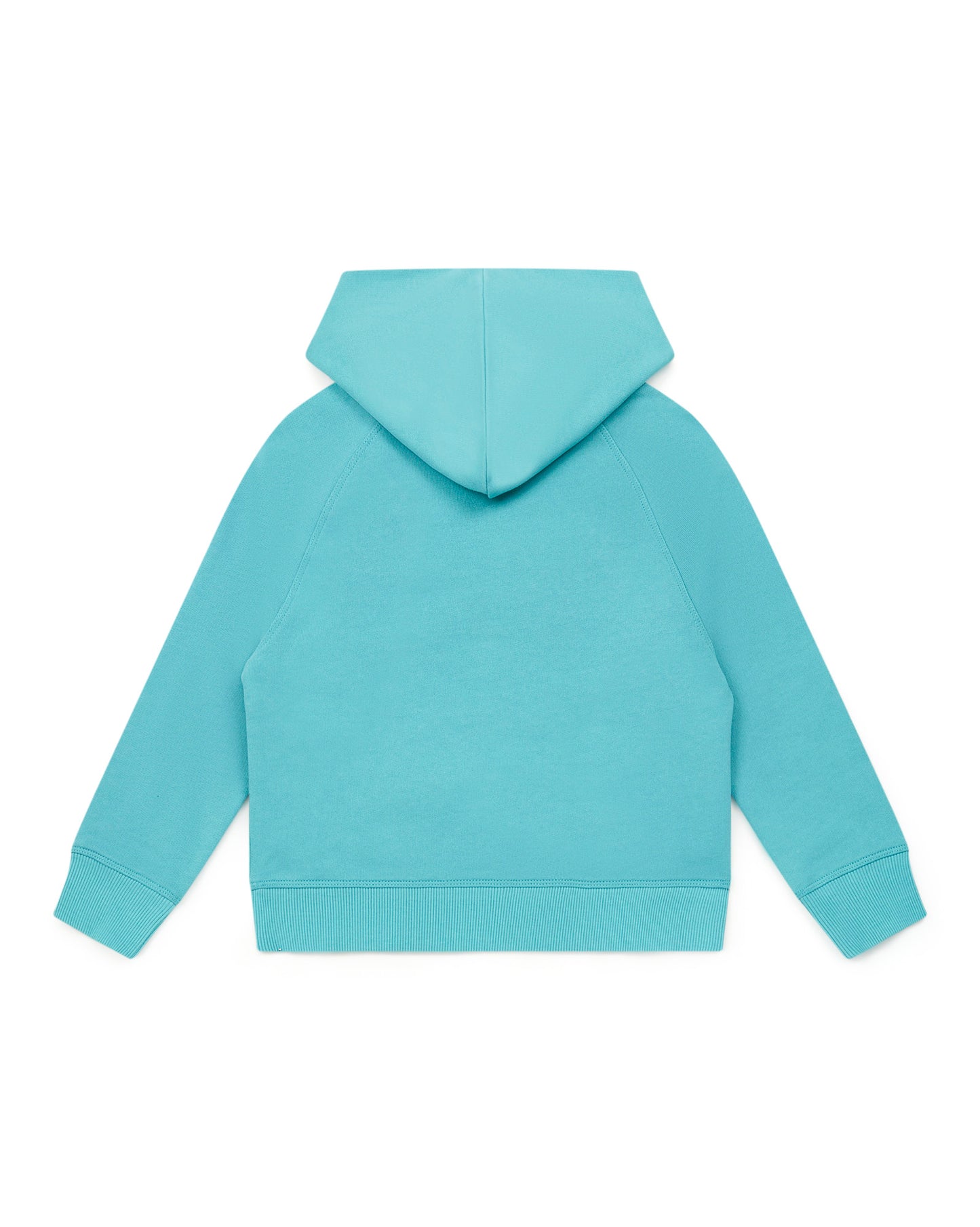 Sweatshirt - Blue Boy