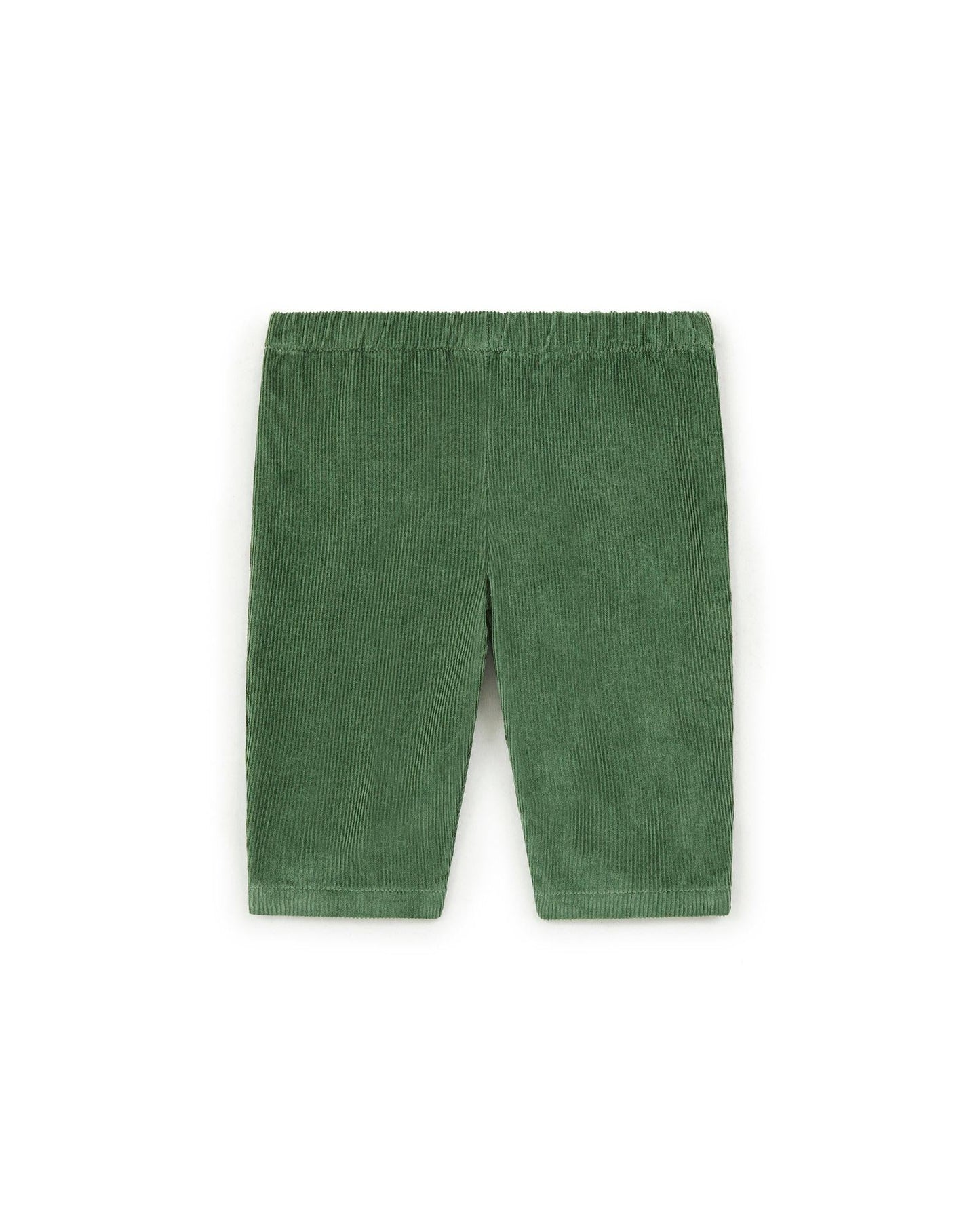 Pantalon - Gino vert Bébé en velours