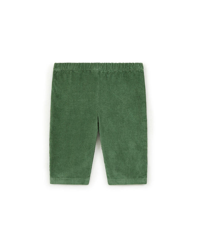 Pantalon - Gino vert Bébé en velours - Image principale