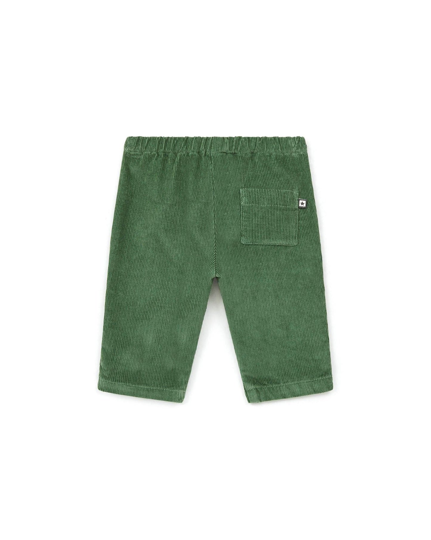 Pantalon - Gino vert Bébé en velours