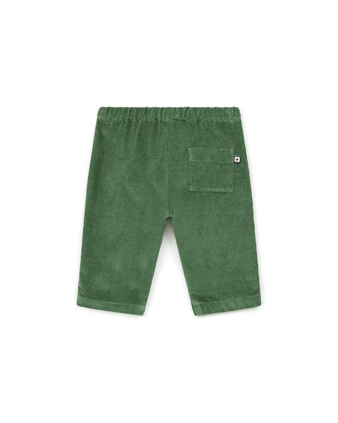 Pantalon - Gino vert Bébé en velours - Image principale
