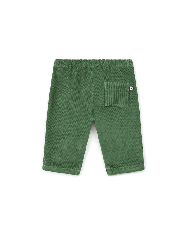 Pantalon - Gino vert Bébé en velours - Image alternative