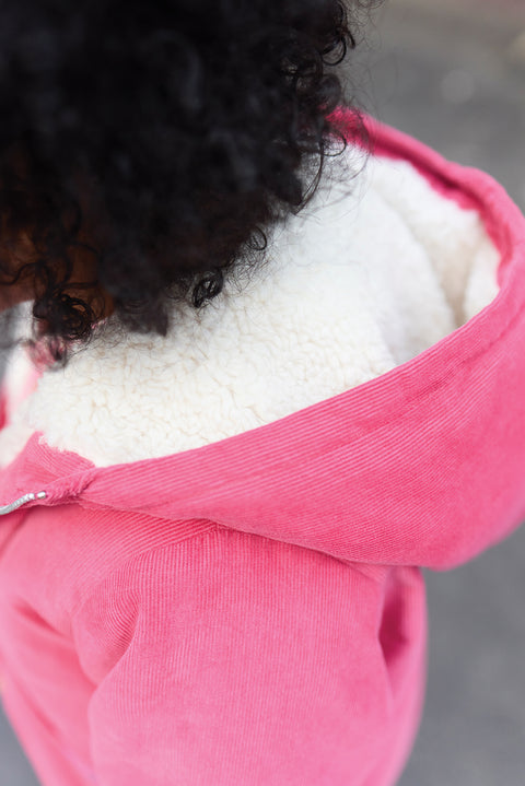 Veste - Goupil rose - Image principale