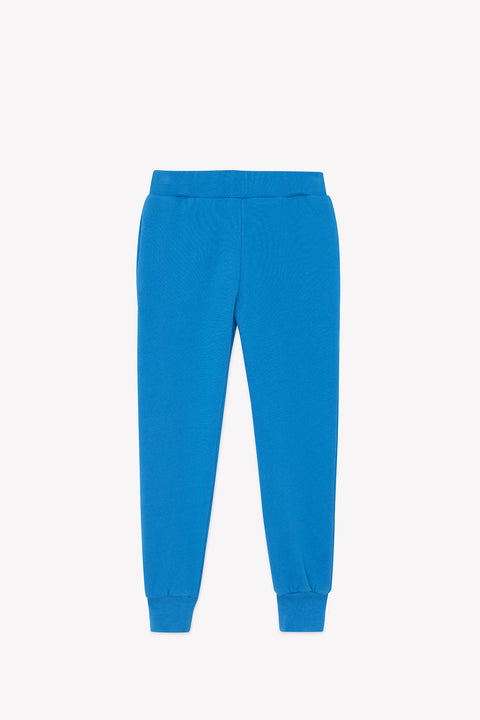 Jogging - Jogg bleu coton organique - Image principale