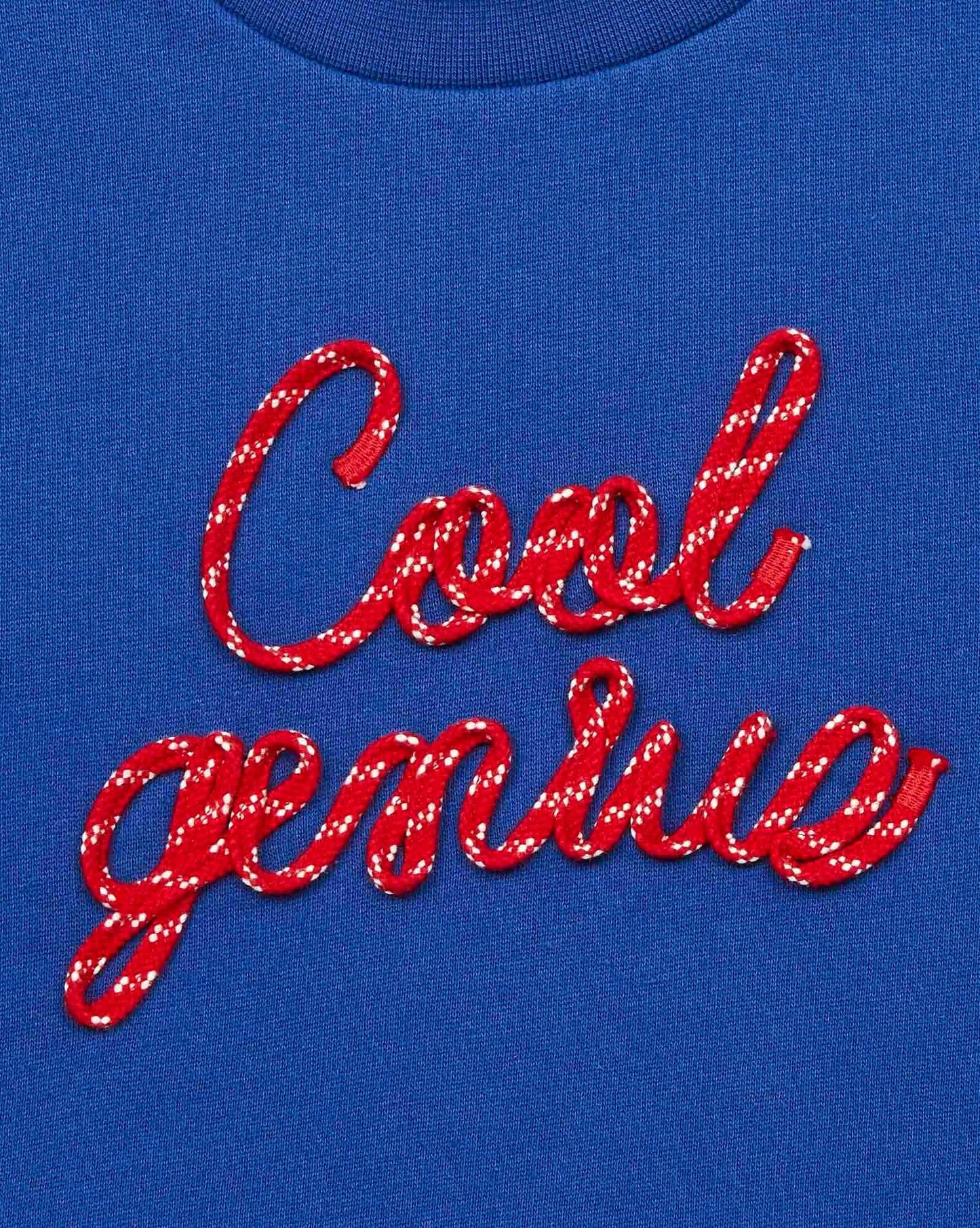 Sweatshirt - Cool genius Blue In 100% organic cotton