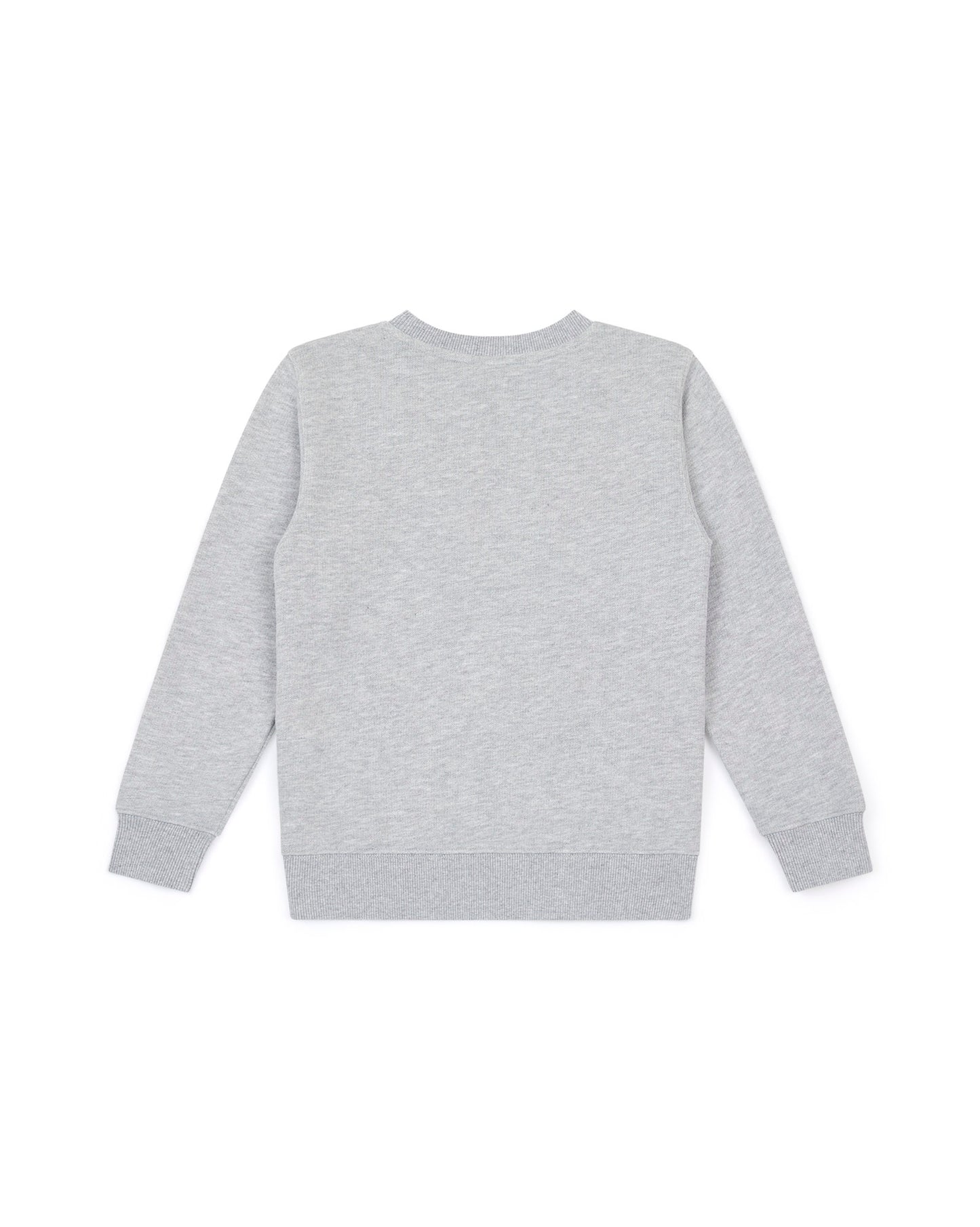 Sweat - Smile gris molleton coton imprimé tortue