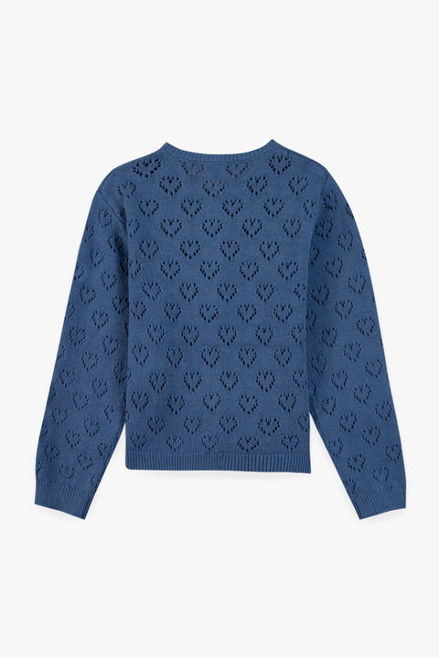 Cardigan - Lilou bleu de toi - Image principale