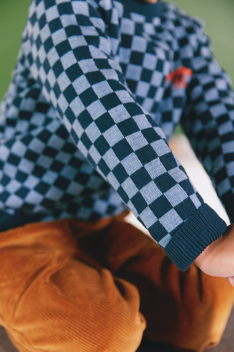 Pull - Paulo navy bonton - Image principale