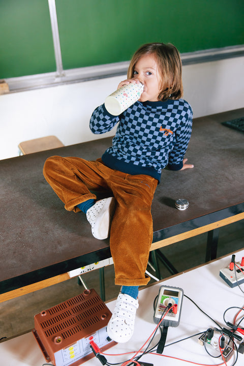 Pull - Paulo navy bonton - Image principale