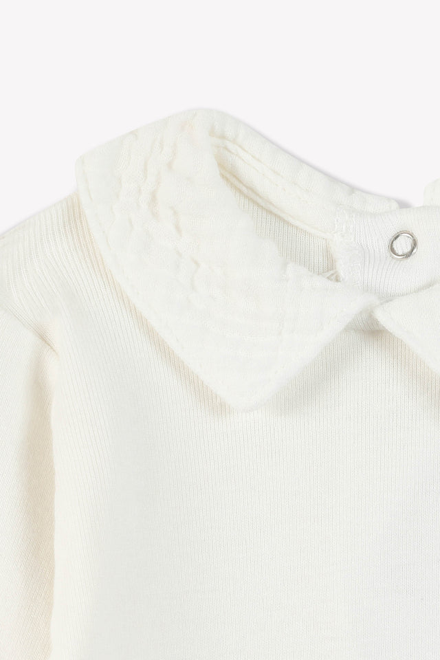 Body - Baby Boy Collar at 100% reverse Organic cotton - Image alternative
