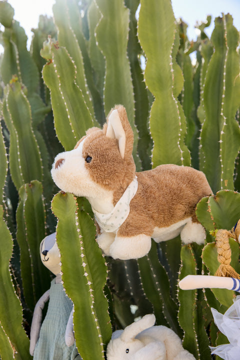 Peluche - Corgi Bernie - Image principale