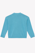 Cardigan - Lucas blue fish