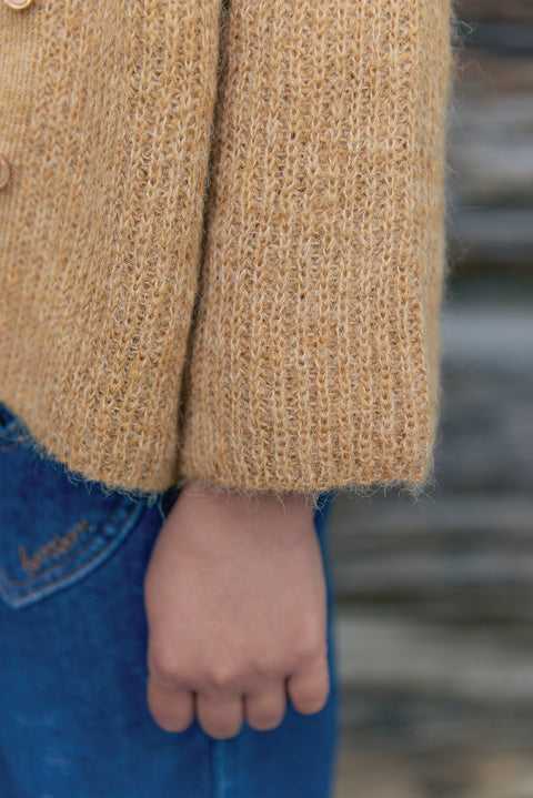 Cardigan - Lizbeth Barn - Image principale