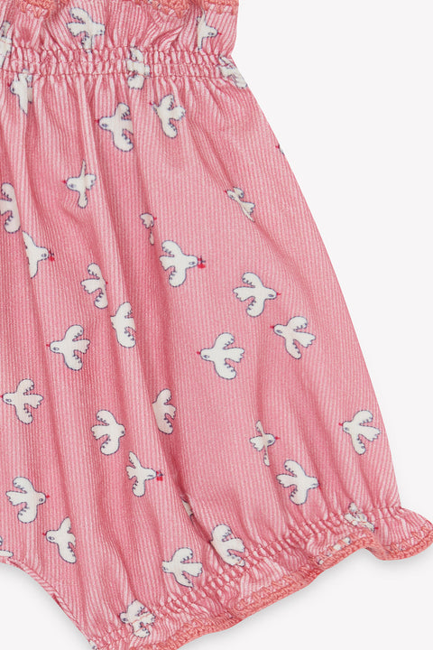 Bloomer - Lancienne Little Birdy - Image principale
