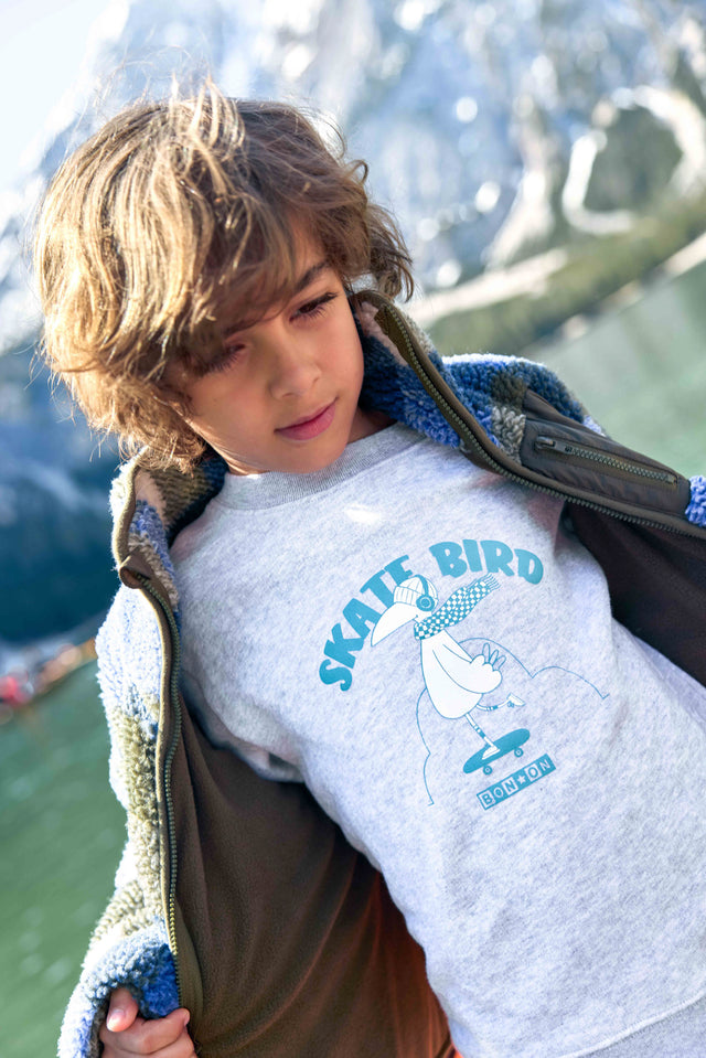 Sweatshirt - Smile Skatebird Grey China - Image principale