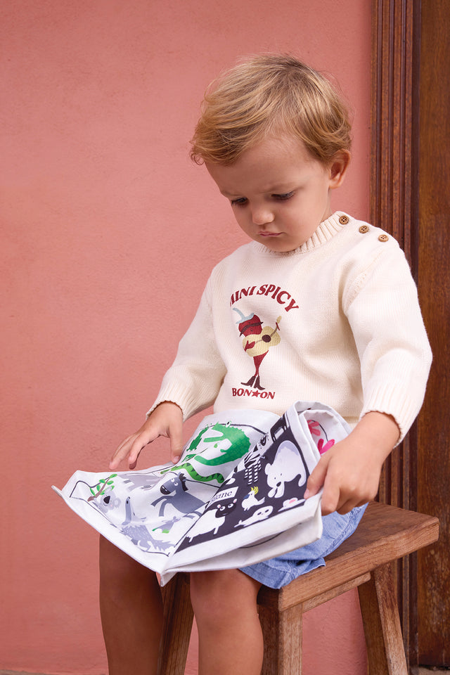 Pull - Misty Ecru Bonton - Image principale