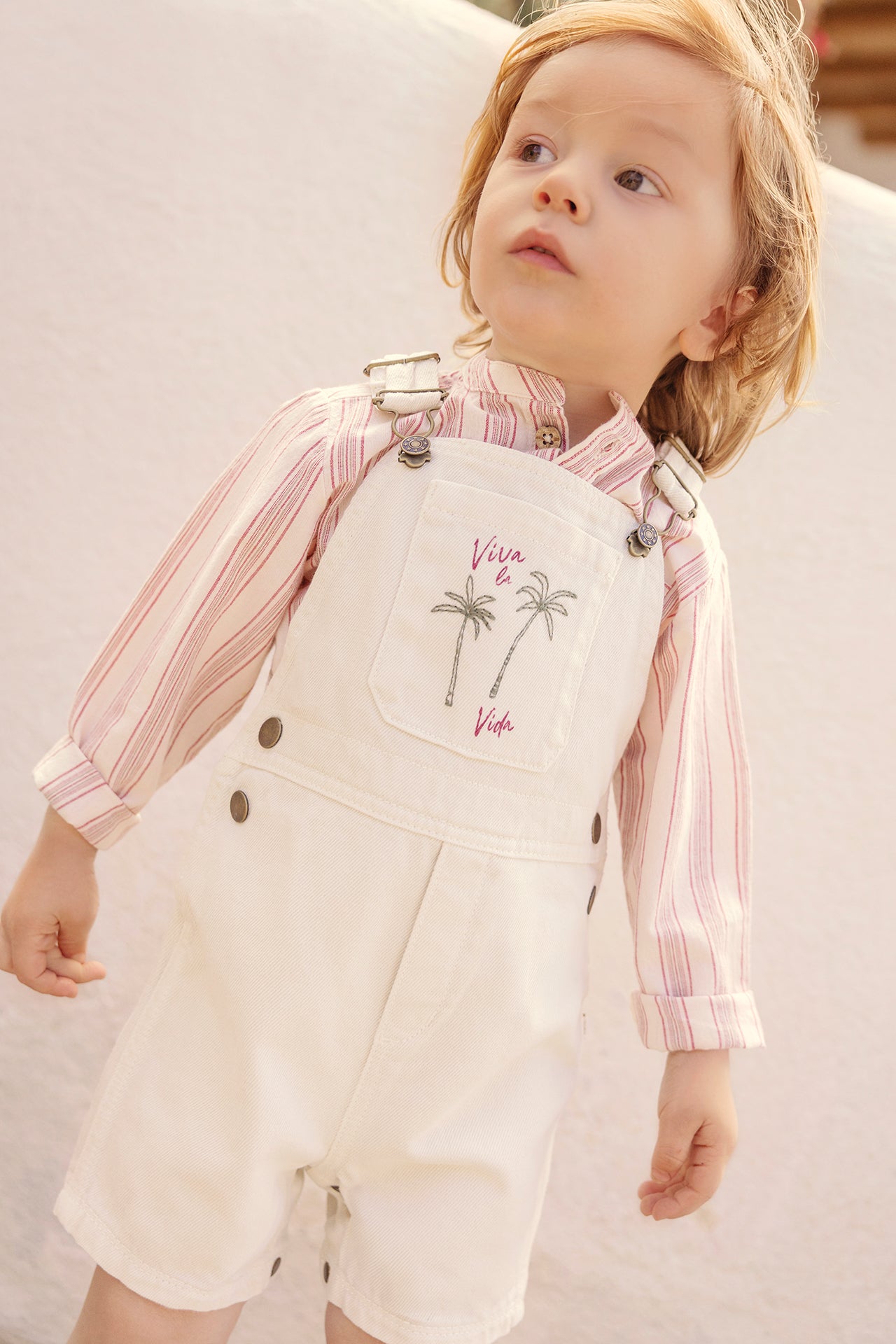 Shirt - Never Stripe Viva