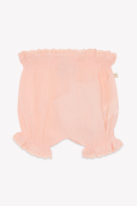 Bloomer - Lancienne Rose Sunset - Image principale