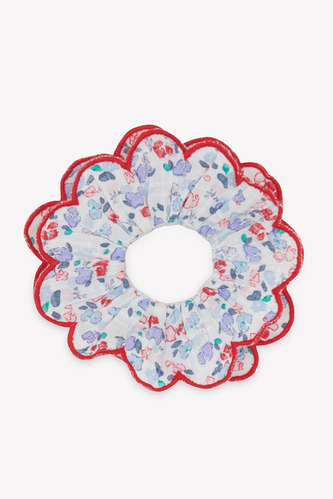 Chouchou - Nepeta Fleurs Elise - Image principale