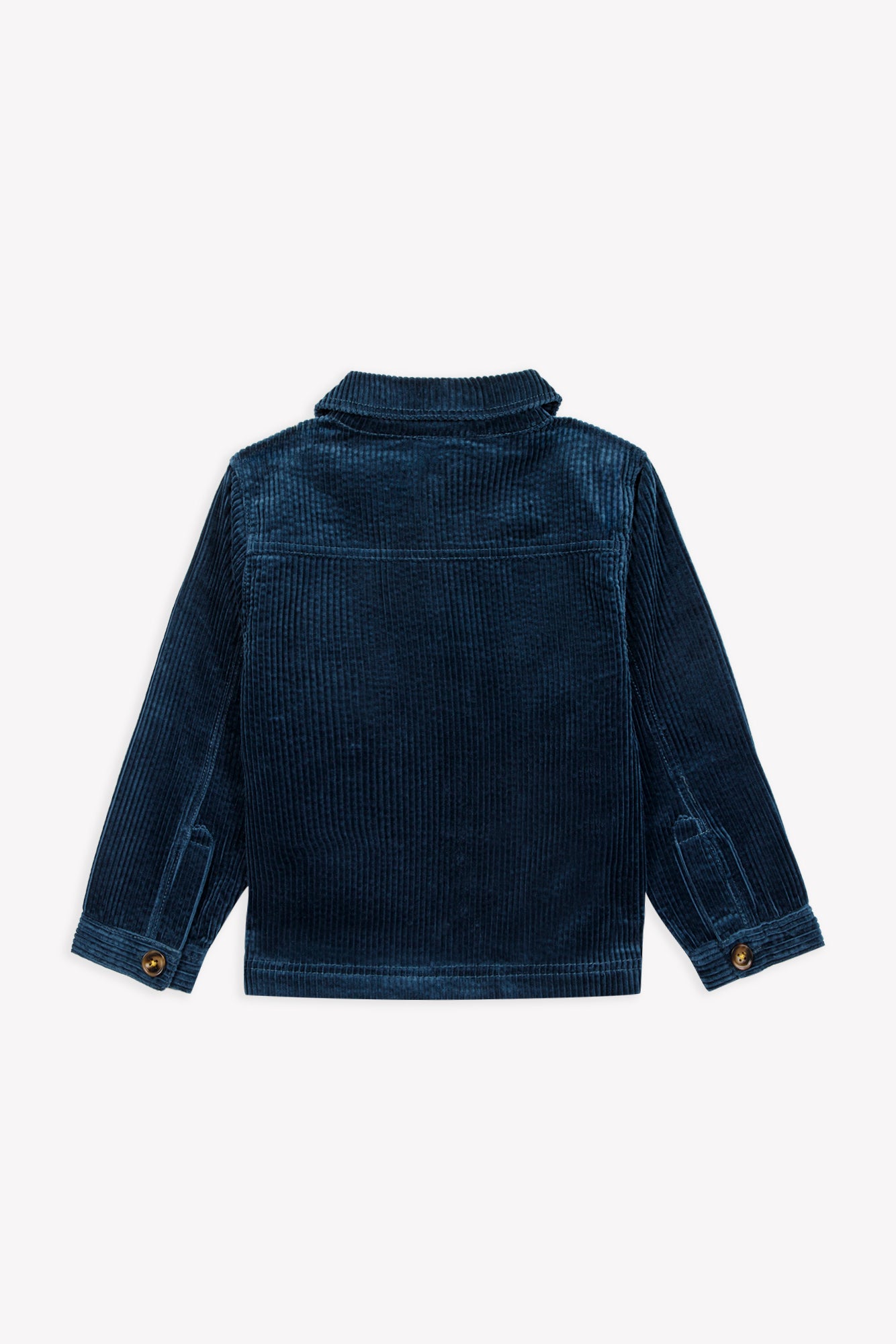 Surchemise - Pastore King Blue Coton