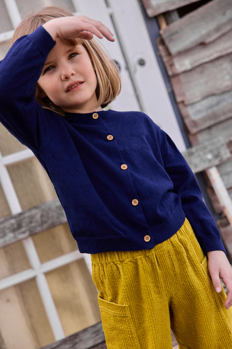 Cardigan - Lilou Cashmere Blue Cotton - Image principale
