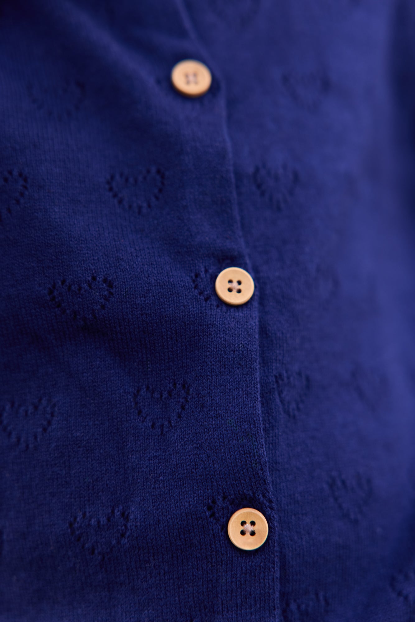 Cardigan - Lilou Blue Cotton Cashmere
