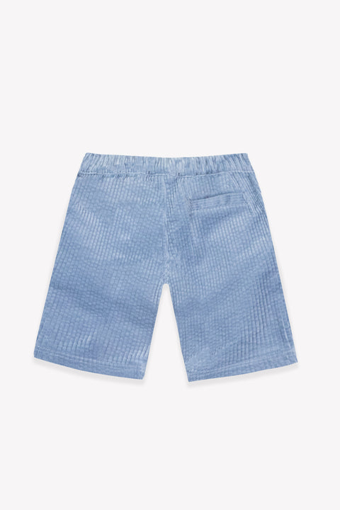 Pantalon - Paco Bleu Velours - Image principale