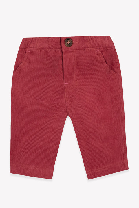 Pantalon - Pampa Rose Velours - Image principale