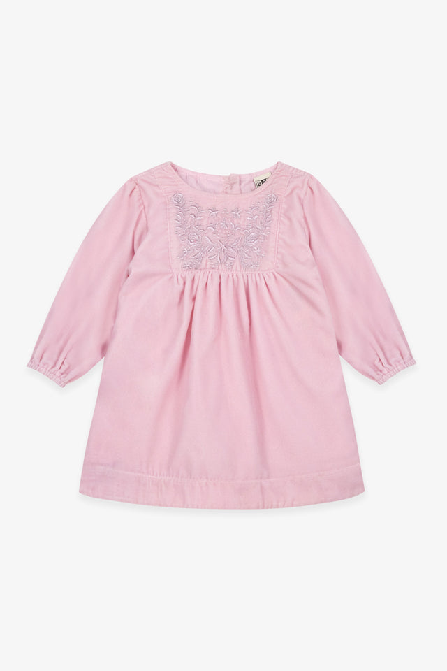 Robe - Daisy Rose Bacon Velours - Image principale