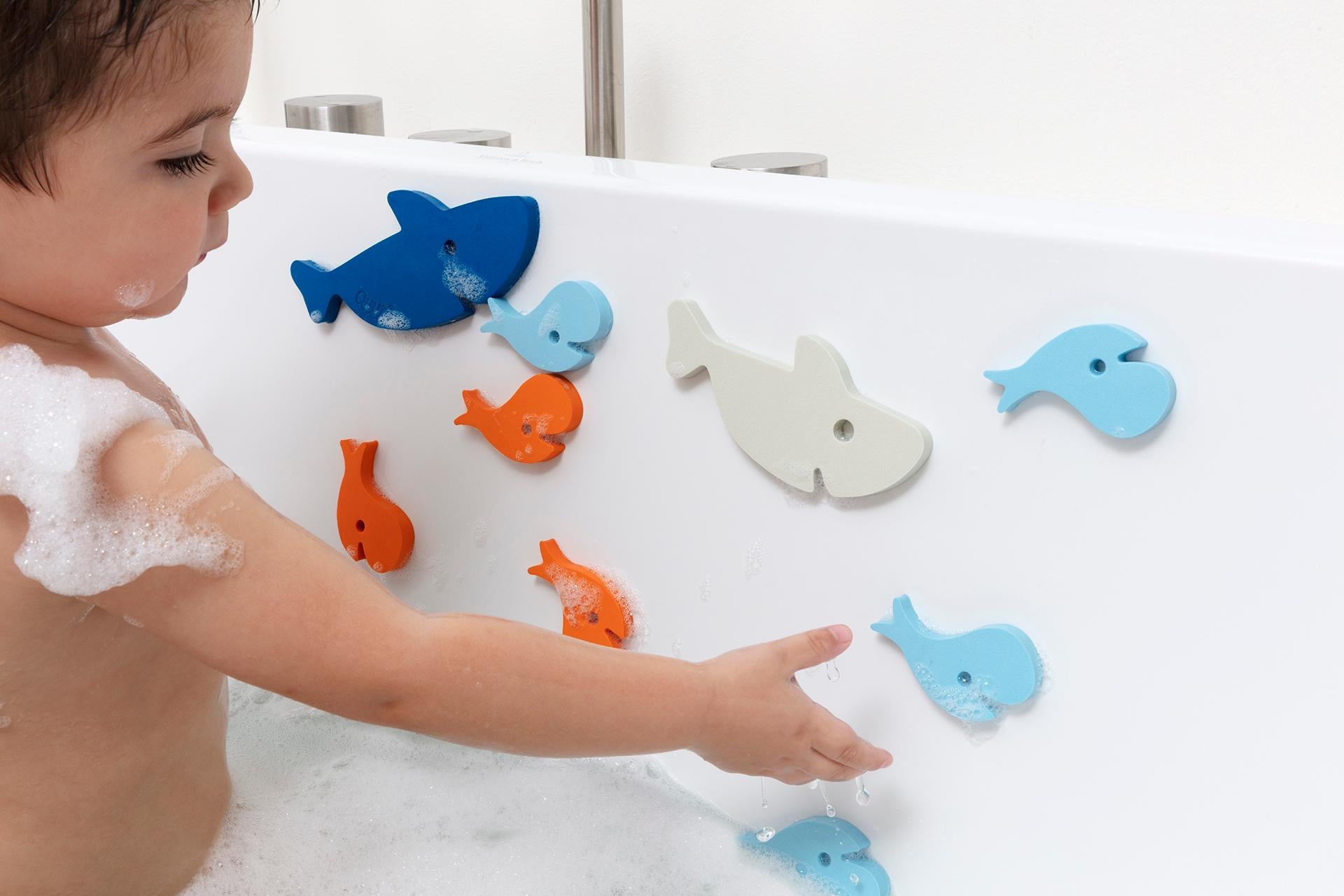 Puzzle friends requin