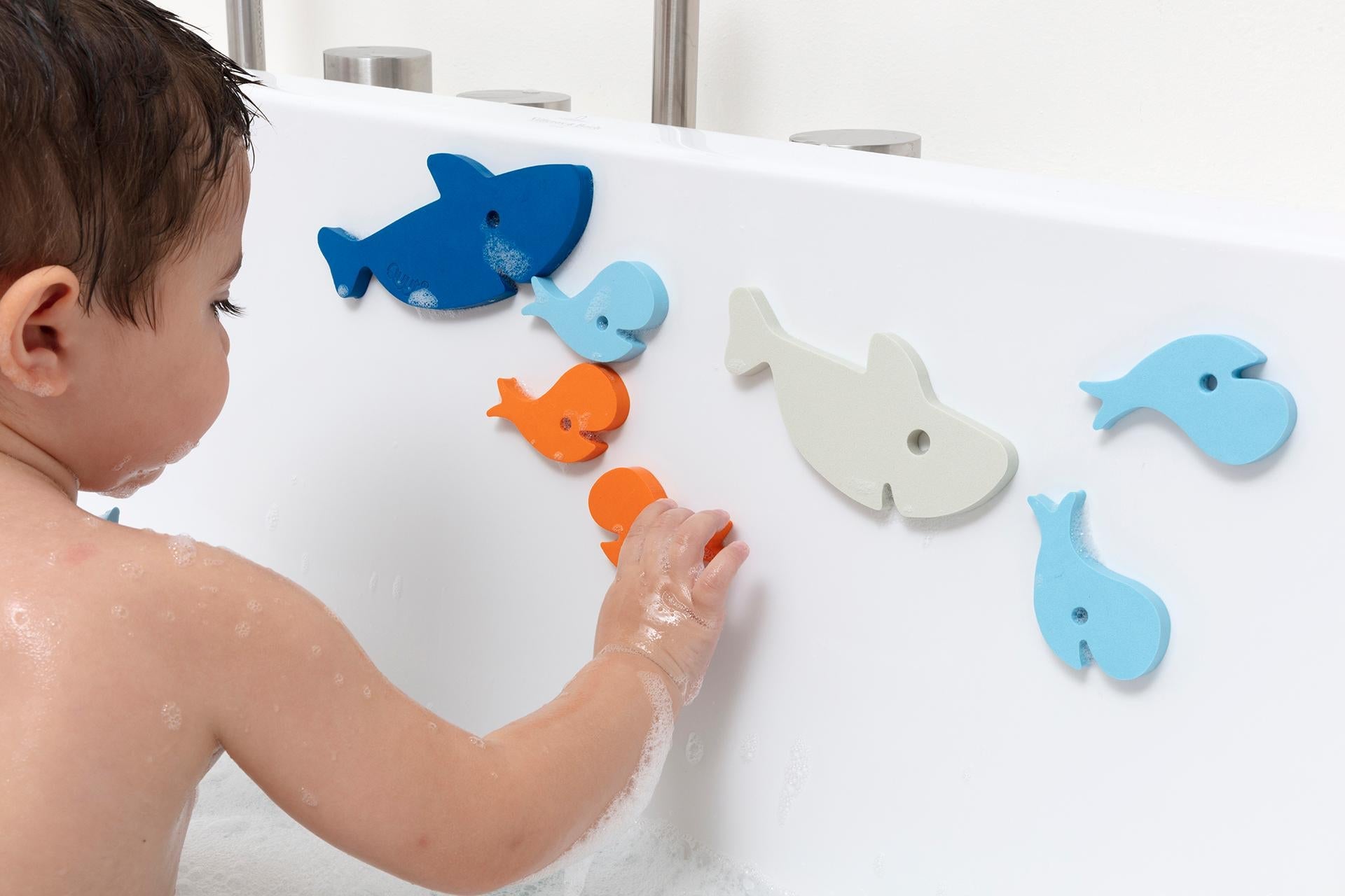 Puzzle friends requin