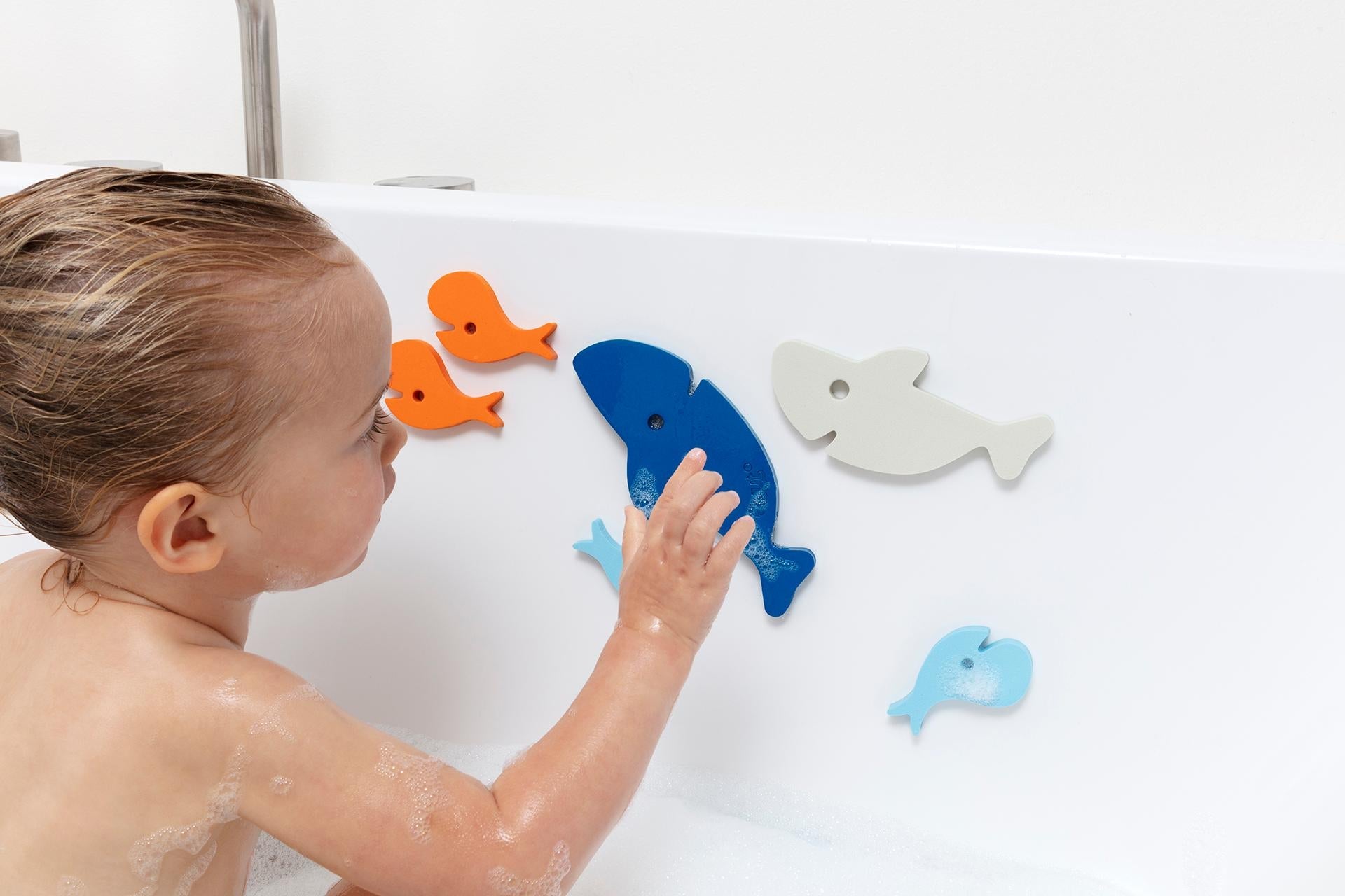 Puzzle friends requin