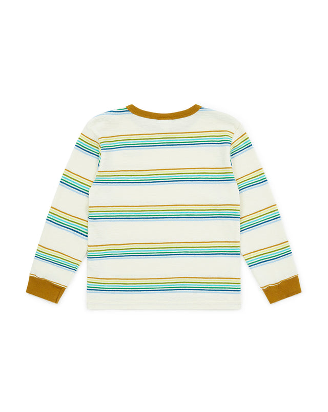 T -shirt - Multicolor stripe Boy - Image alternative