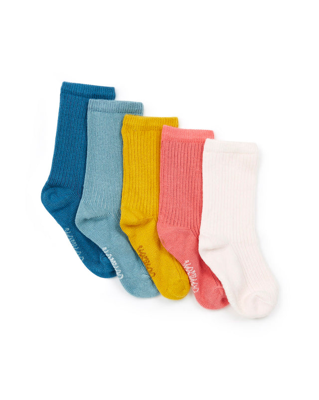 Batch - Socks - Baby united - Image principale